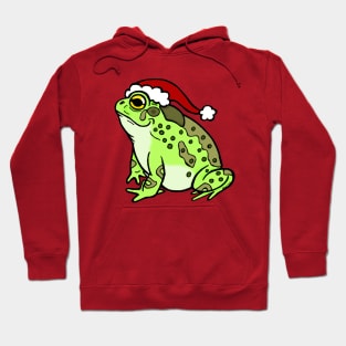 Christmas Toad Hoodie